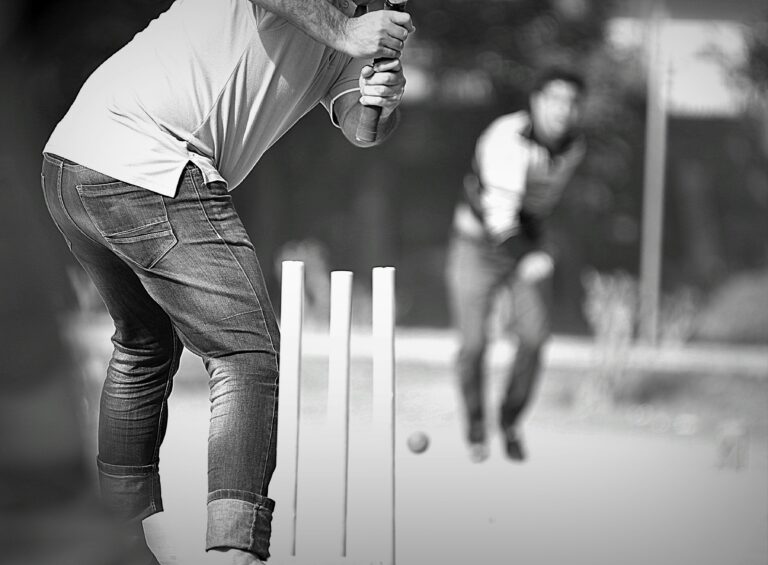 The Importance of Fan-generated Content in Cricket