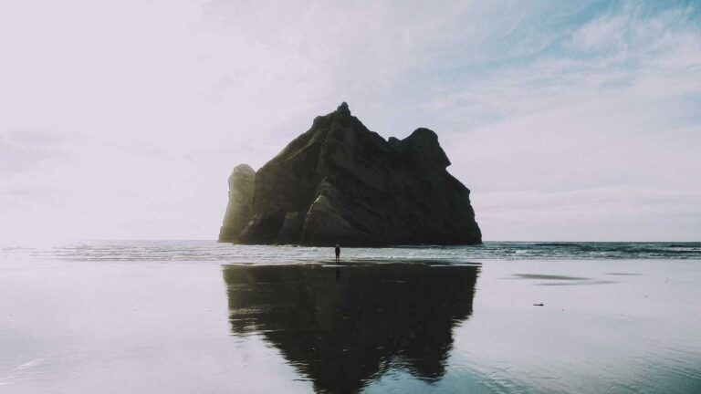 How To Perform A Cricbet99 Apk Download Safely?